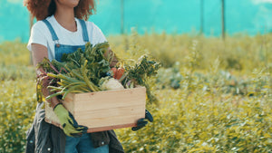 Dry Ice Hacks for Fall Garden Harvest Preservation