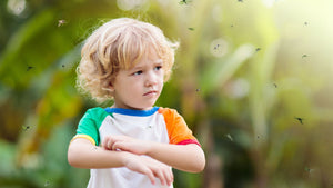 Beat the Buzz: Using Dry Ice to Trap Mosquitoes This Summer