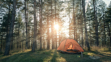 Camping and Road Trips: The Best Ways to Use Dry Ice for Food Storage