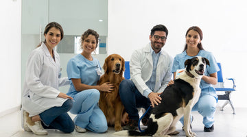 Dry Ice in Veterinary Care: How It Supports Animal Health