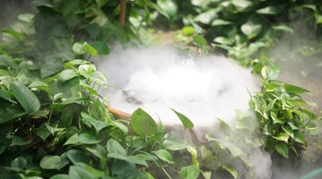 The Power of Dry Ice in Your Garden!